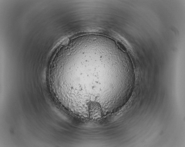 X0000112780155200908271711