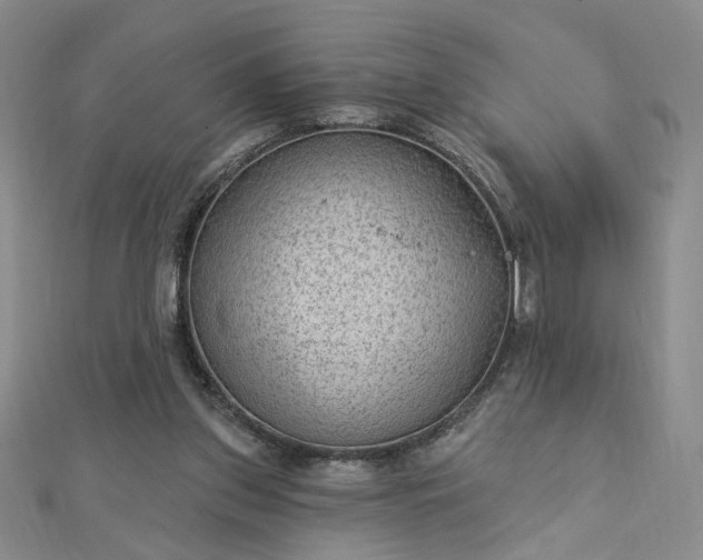 X0000112780157200908271711