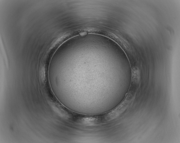 X0000112780158200908271711