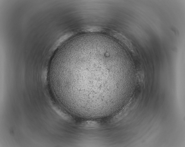 X0000112780159200908271711