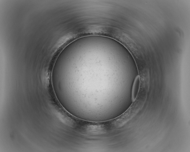 X0000112780160200908271711