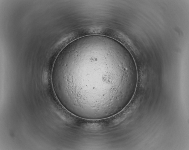 X0000112780161200908271711