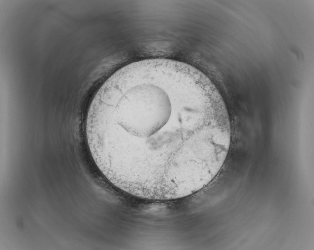 X0000112780162200908271711