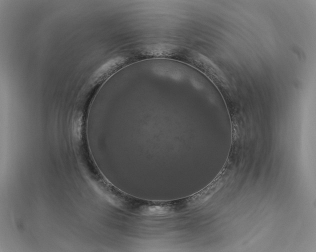 X0000112780163200908271711