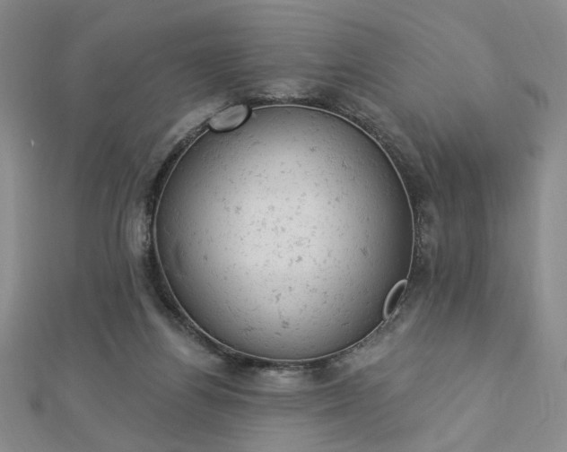 X0000112780164200908271711