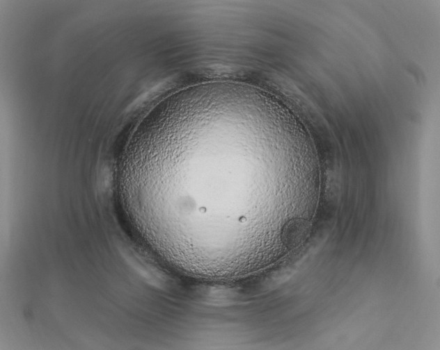 X0000112780165200908271711