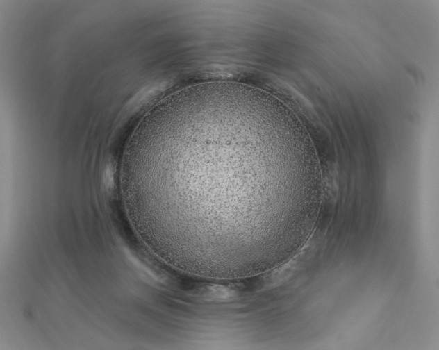 X0000112780166200908271711