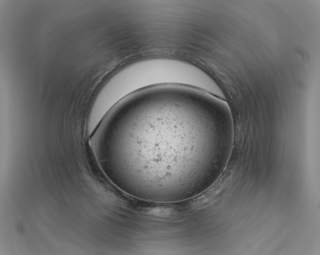 X0000112780168200908271711