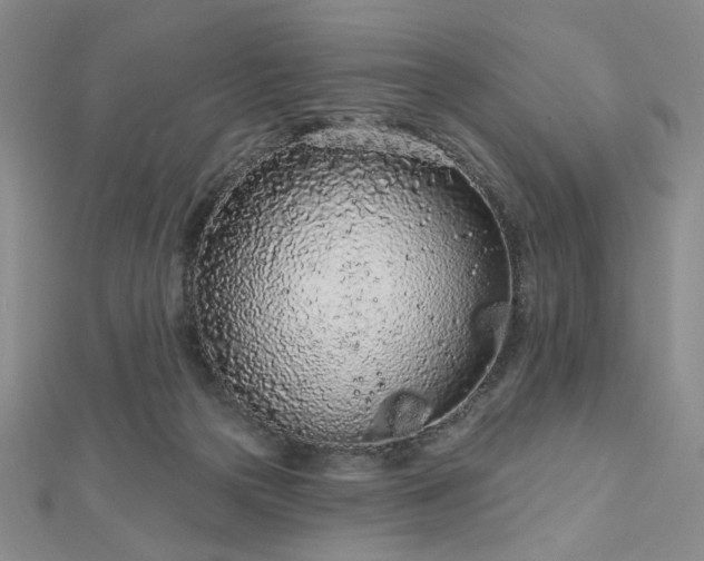 X0000112780169200908271711