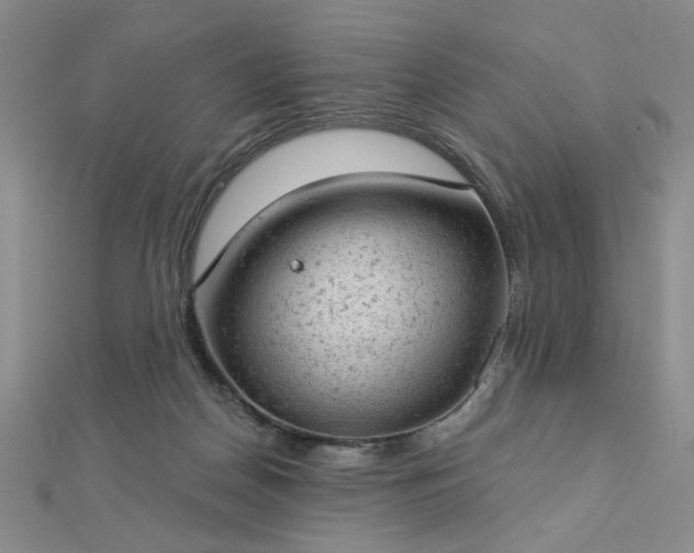 X0000112780170200908271711