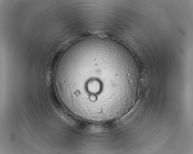 X0000112780171200908271711