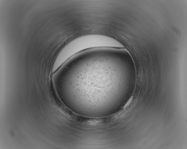 X0000112780172200908271711