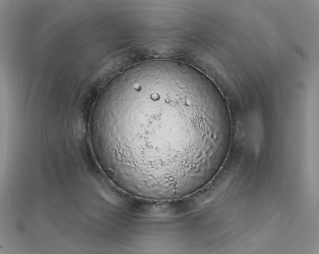 X0000112780173200908271711