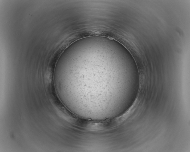 X0000112780174200908271711