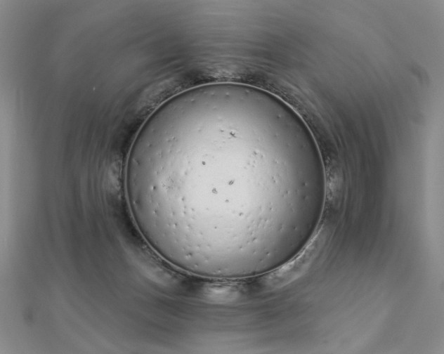 X0000112780175200908271711