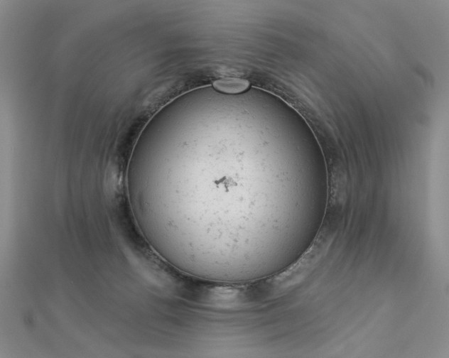 X0000112780176200908271711