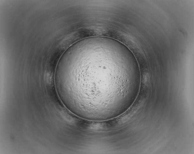 X0000112780177200908271711