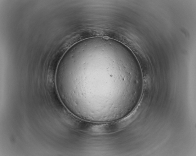 X0000112780178200908271711