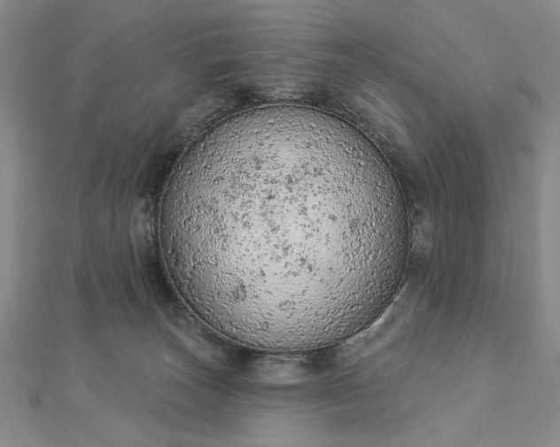 X0000112780179200908271711