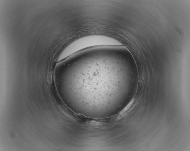 X0000112780180200908271711