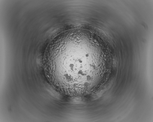 X0000112780181200908271711