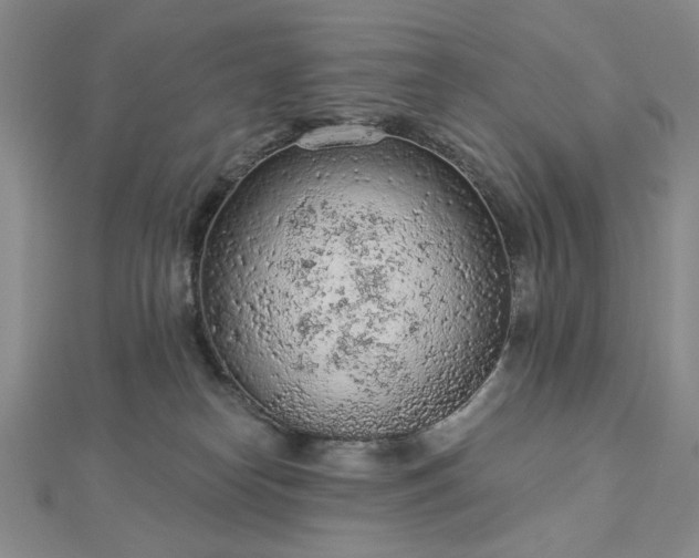 X0000112780182200908271711