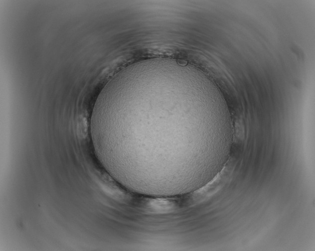 X0000112780183200908271711