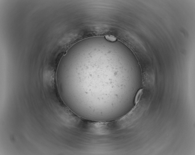 X0000112780184200908271711