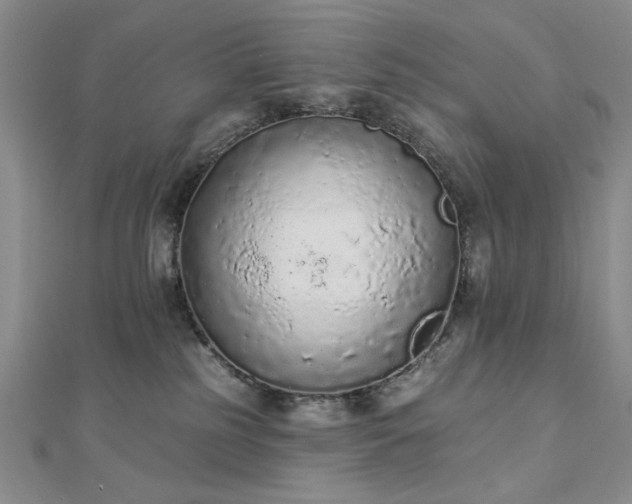 X0000112780185200908271711