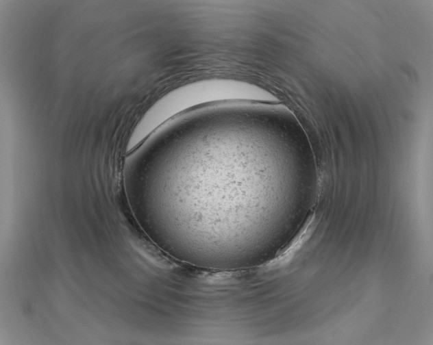 X0000112780186200908271711