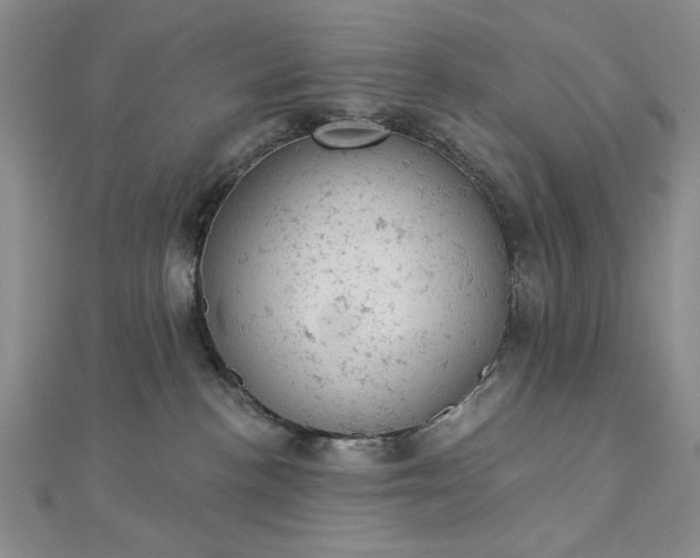 X0000112780188200908271711