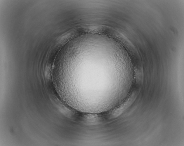 X0000112780189200908271711