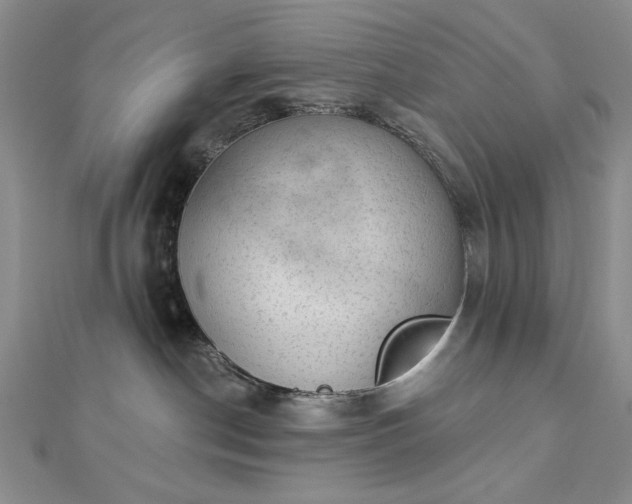 X0000112780190200908271711