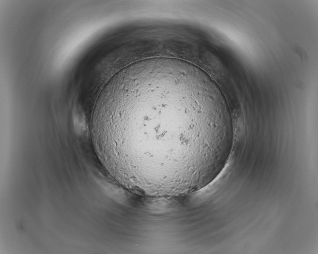 X0000112780191200908271711