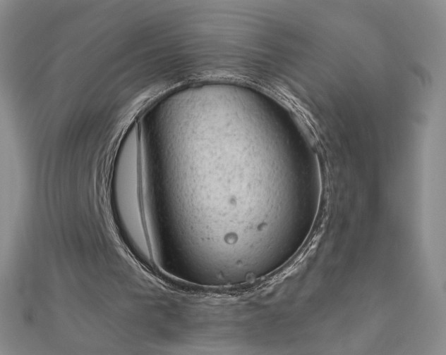 X0000112780193200908271711