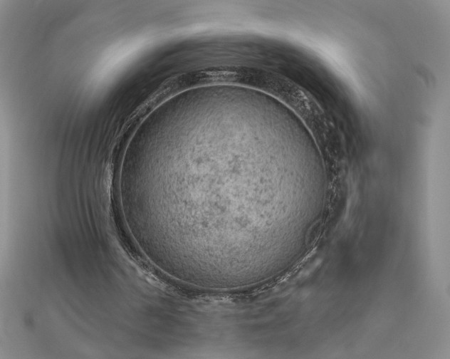 X0000112780194200908271711