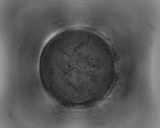 X0000112780196200908271711