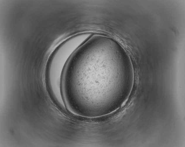 X0000112780199200908271711