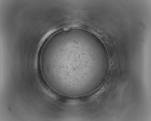 X0000112780200200908271711