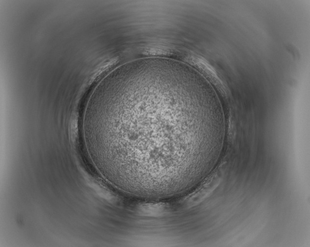 X0000112780202200908271711