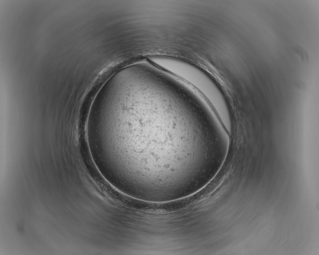 X0000112780203200908271711