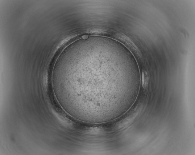 X0000112780204200908271711