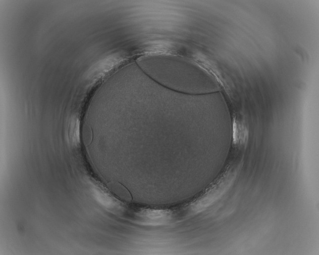 X0000112780205200908271711