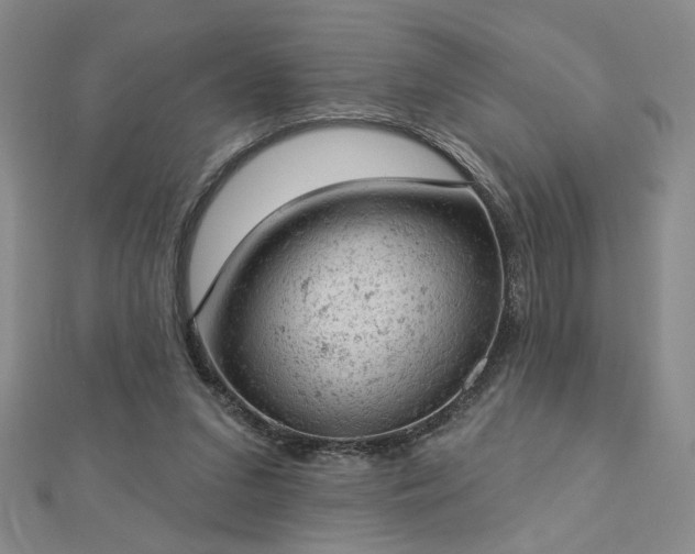 X0000112780207200908271710