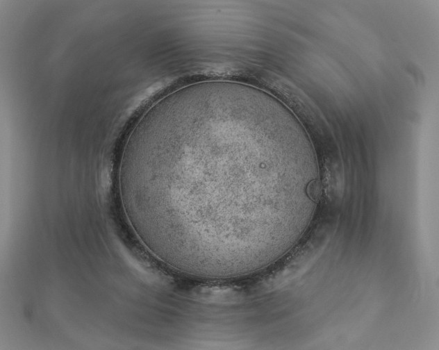 X0000112780208200908271710