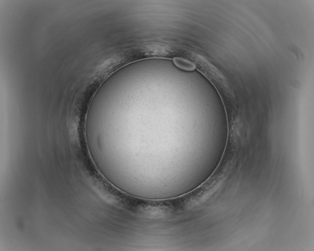 X0000112780209200908271710