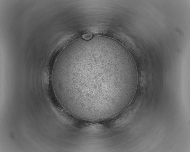 X0000112780210200908271710