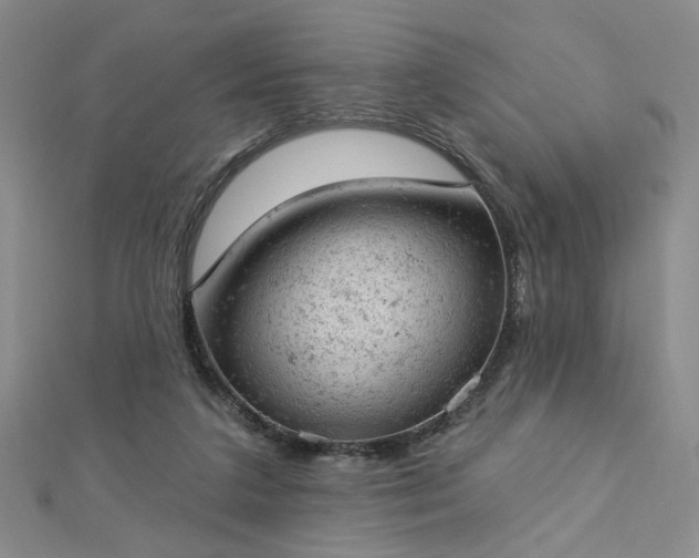 X0000112780211200908271710