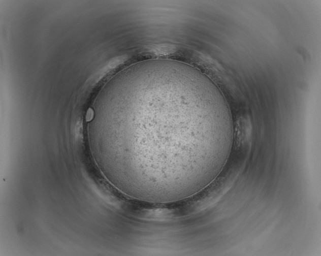 X0000112780212200908271710