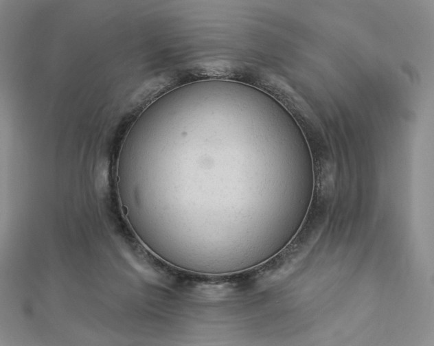 X0000112780213200908271710